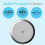 The Juliet Filtered Shower Head - Image 8